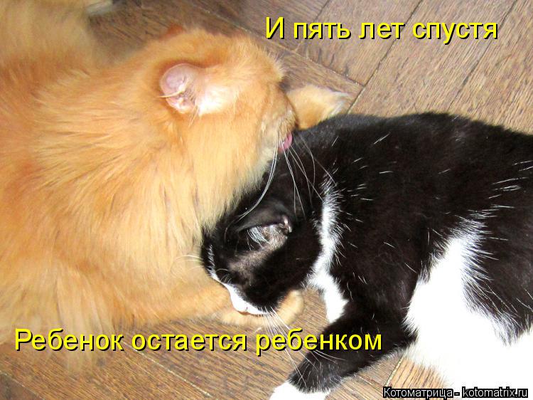 Ребенок остается ребенком И пять лет спустя... Котоматрица: Ребенок остается ребенком И пять лет спустя