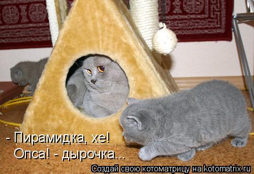 - Пирамидка, хе! Опса! - дырочка...... Котоматрица: - Пирамидка, хе! Опса! - дырочка...