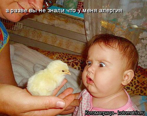 а разве вы не знали что у меня алергия а разве вы не знали что у меня алергия... Котоматрица: а разве вы не знали что у меня алергия а разве вы не знали что у меня алергия