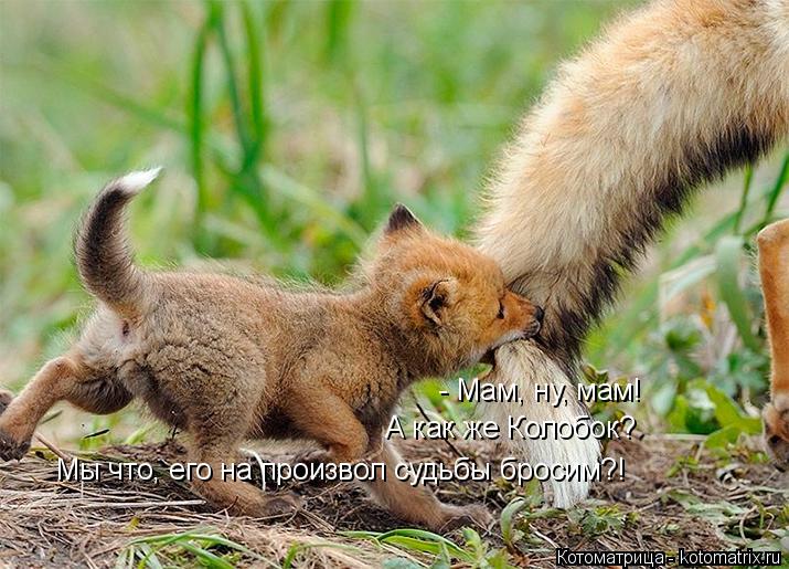 - Мам, ну, мам! А как же Колобок? Мы что, его на произвол судьбы бросим?!... Котоматрица: - Мам, ну, мам! А как же Колобок? Мы что, его на произвол судьбы бросим?!