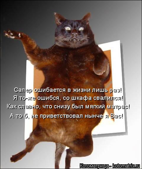 Сапер ошибается в жизни лишь раз! Я то-же ошибся, со шкафа свалился! Как славно, что снизу был мягкий... Котоматрица: Сапер ошибается в жизни лишь раз! Я то-же ошибся, со шкафа свалился! Как славно, что снизу был мягкий матрас! А то б, не приветствовал нынче я В