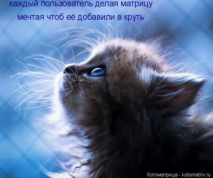 каждый пользователь делая матрицу мечтая чтоб её добавили в круть мечтая чтоб её добавили в круть ...... Котоматрица: каждый пользователь делая матрицу мечтая чтоб её добавили в круть мечтая чтоб её добавили в круть ... ...