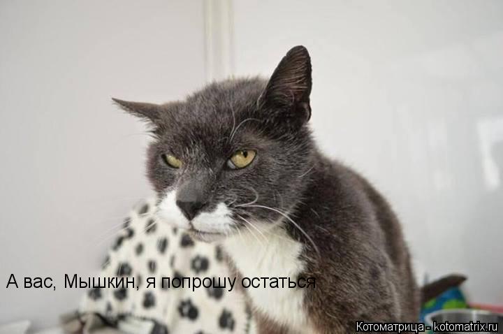 А вас, Мышкин, я попрошу остаться... Котоматрица: А вас, Мышкин, я попрошу остаться