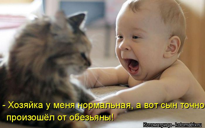 - Хозяйка у меня нормальная, а вот сын точно произошёл от обезьяны!... Котоматрица: - Хозяйка у меня нормальная, а вот сын точно произошёл от обезьяны!