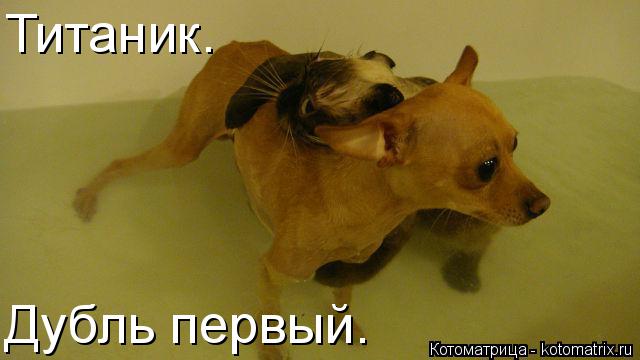 Титаник. Дубль первый.... Котоматрица: Титаник. Дубль первый.