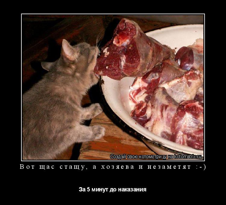 Вот щас стащу, а хозяева и незаметят :-) За 5 минут до наказания... Котоматрица: Вот щас стащу, а хозяева и незаметят :-) За 5 минут до наказания