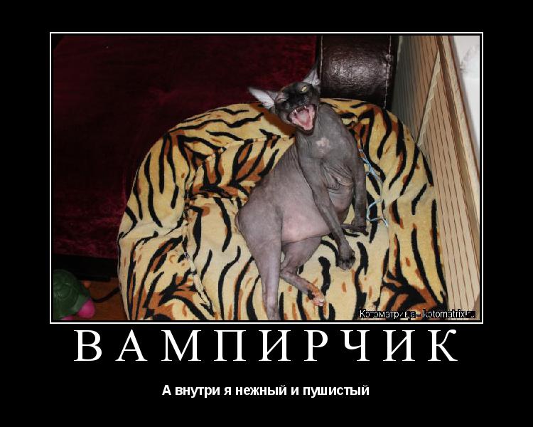Котоматрица: ВАМПИРЧИК А внутри я нежный и пушистый