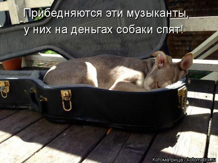 Прибедняются эти музыканты, у них на деньгах собаки спят!... Котоматрица: Прибедняются эти музыканты, у них на деньгах собаки спят!