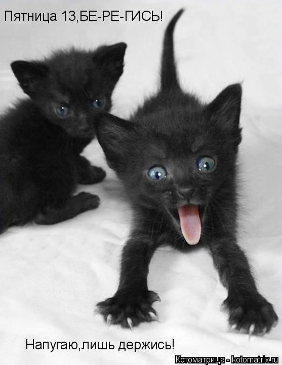 Пятница 13,БЕ-РЕ-ГИСЬ! Напугаю,лишь держись!... Котоматрица: Пятница 13,БЕ-РЕ-ГИСЬ! Напугаю,лишь держись!