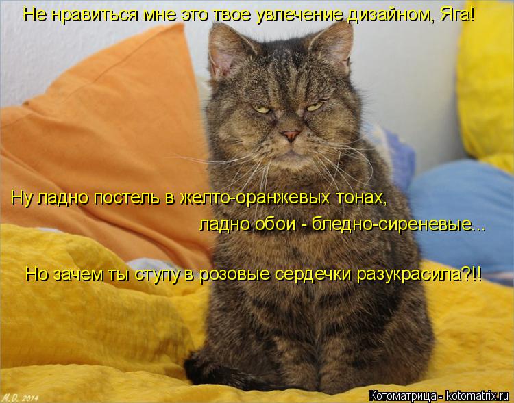 :       , !     - ,    - -...    