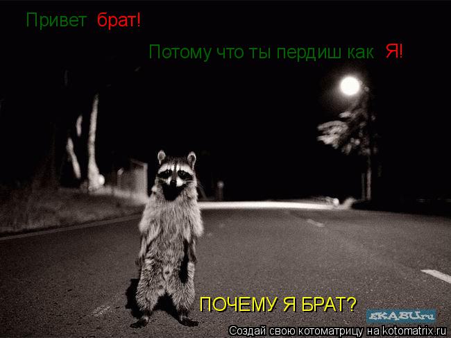 Привет брат! ПОЧЕМУ Я БРАТ? Потому что ты пердиш как Я!... Котоматрица: Привет брат! ПОЧЕМУ Я БРАТ? Потому что ты пердиш как Я!