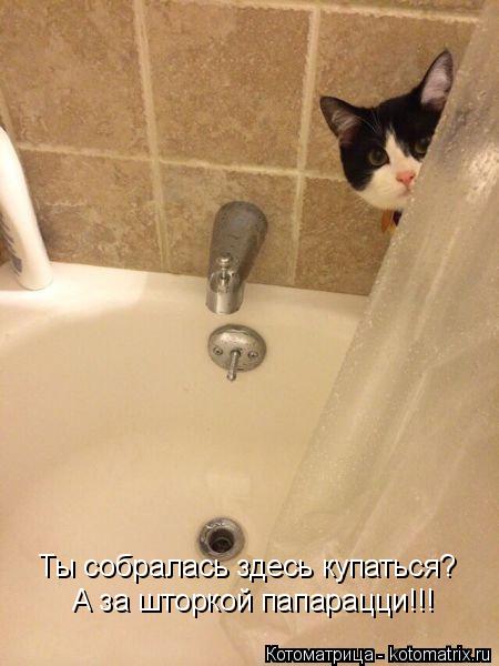 :    ?    !!!