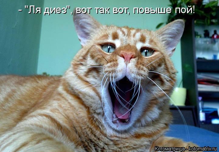 : - " ",   ,  !
