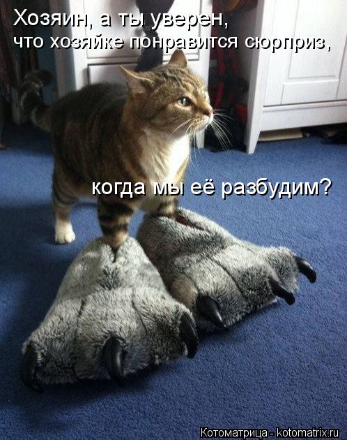 Котоматрица: Хозяин, а ты уверен,  что хозяйке понравится сюрприз,  когда мы её разбудим?