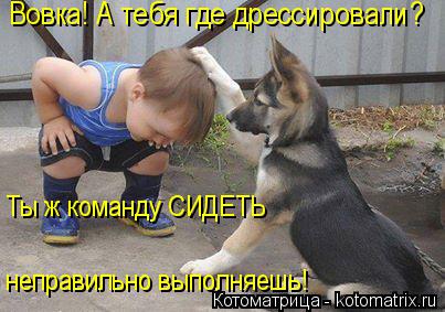 Котоматрица: Вовка! А тебя где дрессировали? Ты ж команду СИДЕТЬ неправильно выполняешь!