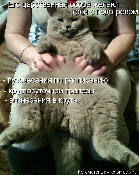 Котоматрица: Его царственная особа желают: - трон с подогревом - пузочесания по расписанию - круглосуточной трапезы  - вознесения в круть