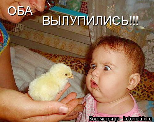 Котоматрица: ОБА ВЫЛУПИЛИСЬ!!!