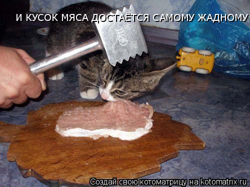 Котоматрица: И КУСОК МЯСА ДОСТАЁТСЯ САМОМУ ЖАДНОМУ КОТУ