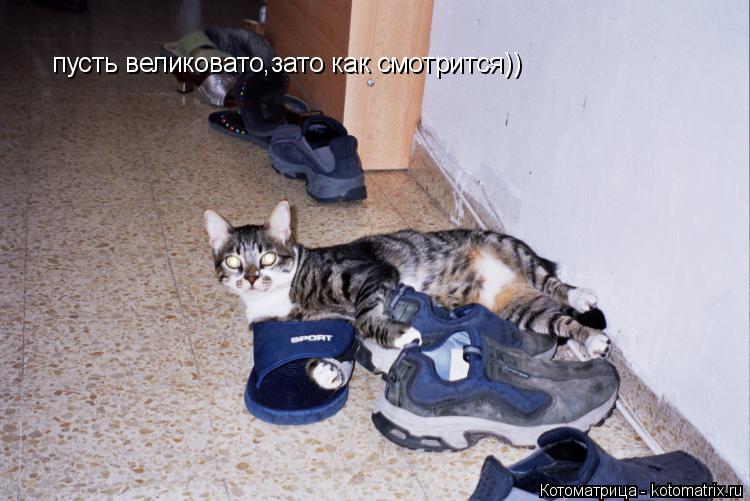 Котоматрица: пусть великовато,зато как смотрится))