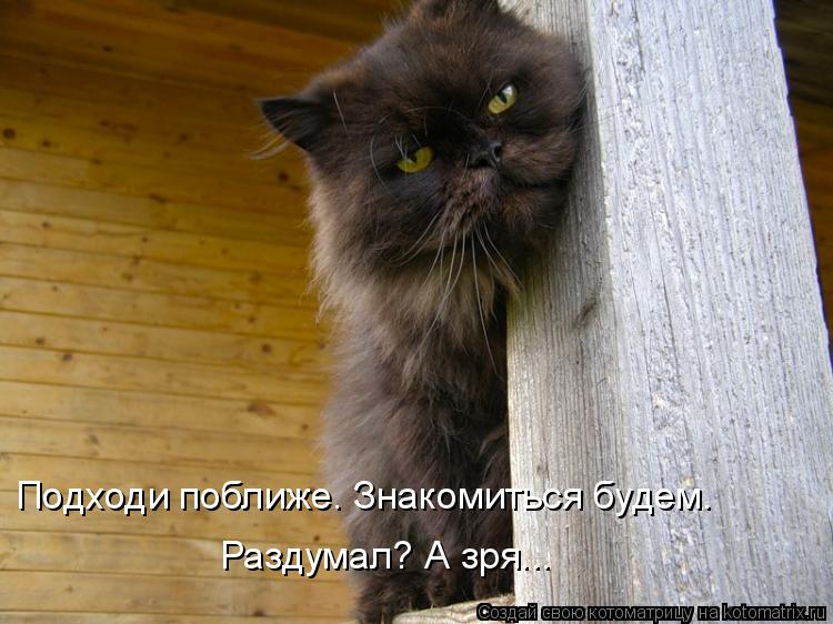 Котоматрица: Раздумал? А зря... Подходи поближе. Знакомиться будем.