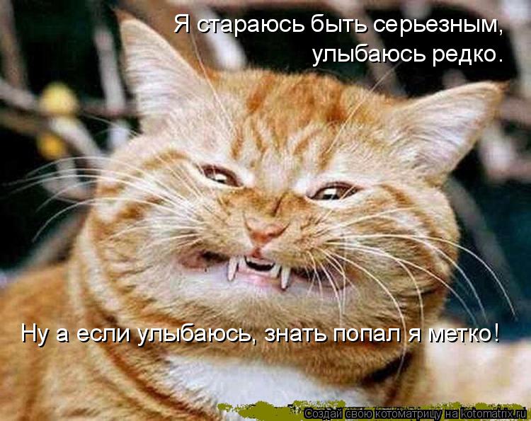 Котоматрица: Я стараюсь быть серьезным,  улыбаюсь редко. Ну а если улыбаюсь, знать попал я метко!