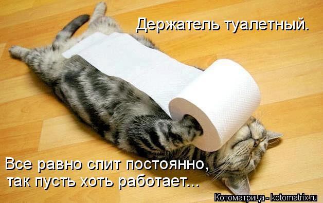 Котоматрица: Держатель туалетный. так пусть хоть работает... Все равно спит постоянно,