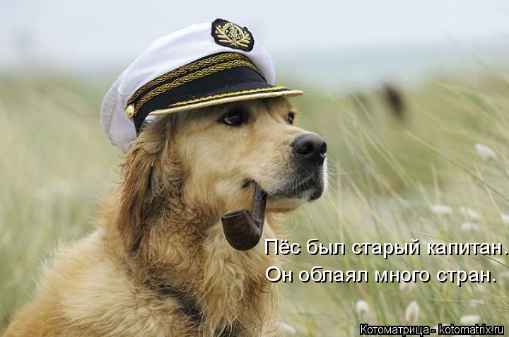 Котоматрица: Пёс был старый капитан. Он облаял много стран.