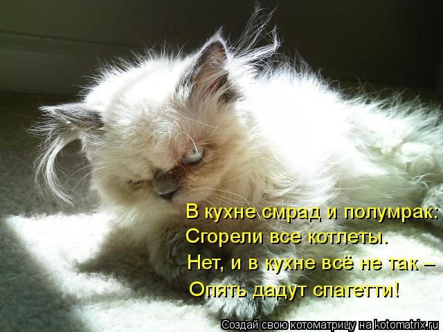 Котоматрица: В кухне смрад и полумрак: Сгорели все котлеты. Нет, и в кухне всё не так – Опять дадут спагетти!