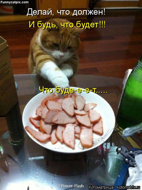 Делай, что должен! И будь, что будет!!! Что буде-е-е-т........ Котоматрица: Делай, что должен! И будь, что будет!!! Что буде-е-е-т.....