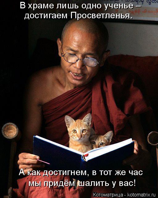 Котоматрица: В храме лишь одно ученье – достигаем Просветленья. А как достигнем, в тот же час мы придём шалить у вас!