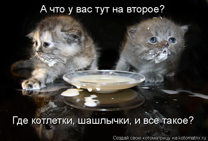 Котоматрица: А что у вас тут на второе? Где котлетки, шашлычки, и все такое?