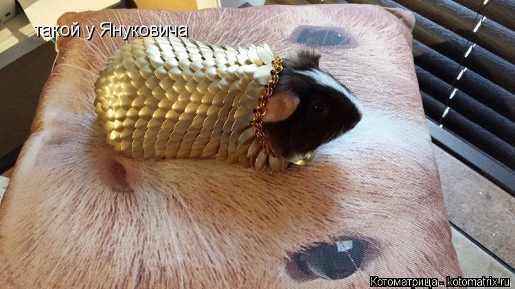 Котоматрица: такой у Януковича такой у Януковича