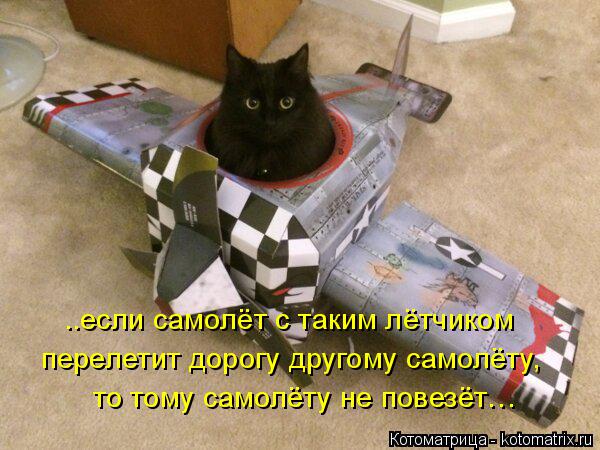 ..если самолёт с таким лётчиком перелетит дорогу другому самолёту, то тому самолёту не повезёт…... Котоматрица: ..если самолёт с таким лётчиком перелетит дорогу другому самолёту, то тому самолёту не повезёт…