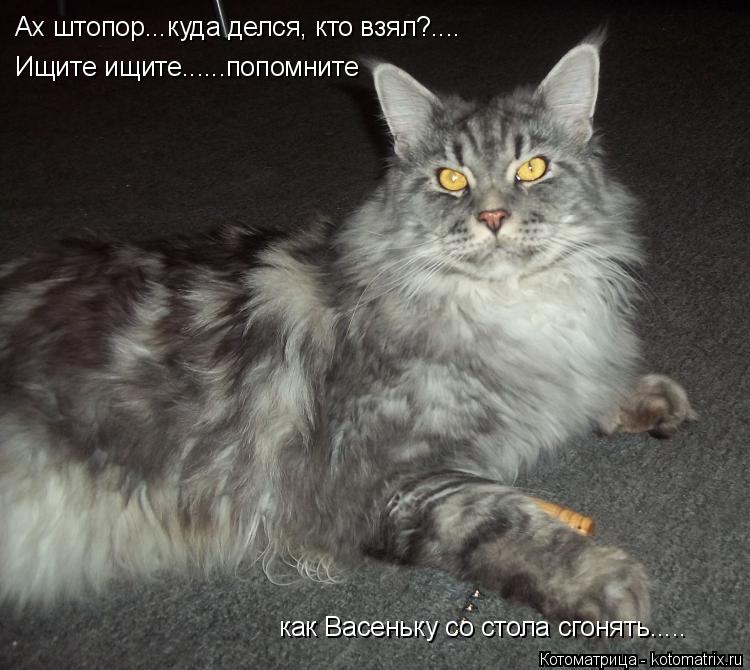 Котоматрица: Ах штопор...куда делся, кто взял?.... Ищите ищите......попомните как Васеньку со стола сгонять.....