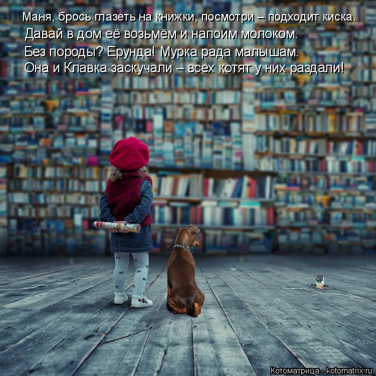 Маня, брось глазеть на книжки, посмотри – подходит киска. Давай в дом её возьмём и напоим молоком. Бе... Котоматрица: Маня, брось глазеть на книжки, посмотри – подходит киска. Давай в дом её возьмём и напоим молоком. Без породы? Ерунда! Мурка рада малышам. Она