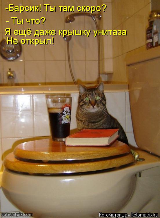 : -!   ? -  ?         !