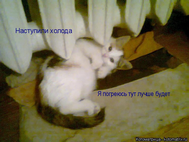 Котоматрица: Наступили холода Я погреюсь тут лучше будет
