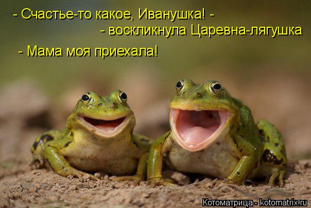 - Счастье-то какое, Иванушка! - - воскликнула Царевна-лягушка - Мама моя приехала!... Котоматрица: - Счастье-то какое, Иванушка! - - воскликнула Царевна-лягушка - Мама моя приехала!