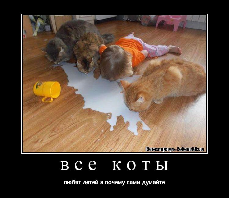 Котоматрица: все коты любят детей а почему сами думайте
