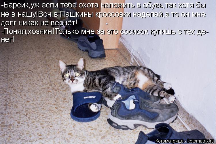 Котоматрица: -Барсик,уж если тебе охота наложить в обувь,так хотя бы не в нашу!Вон в Пашкины кроссовки наделай,а то он мне долг никак не вернёт! -Понял,хозя