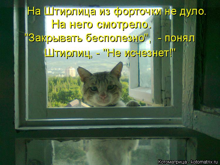 Котоматрица: На Штирлица из форточки не дуло. На него смотрело.  "Закрывать бесполезно",  - понял  Штирлиц, - "Не исчезнет!"