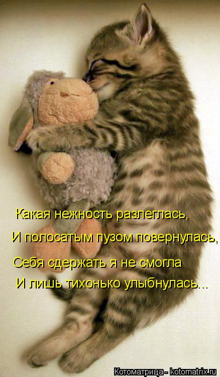 Какая нежность разлеглась, И полосатым пузом повернулась, Себя сдержать я не смогла И лишь тихонько у... Котоматрица: Какая нежность разлеглась, И полосатым пузом повернулась, Себя сдержать я не смогла И лишь тихонько улыбнулась...