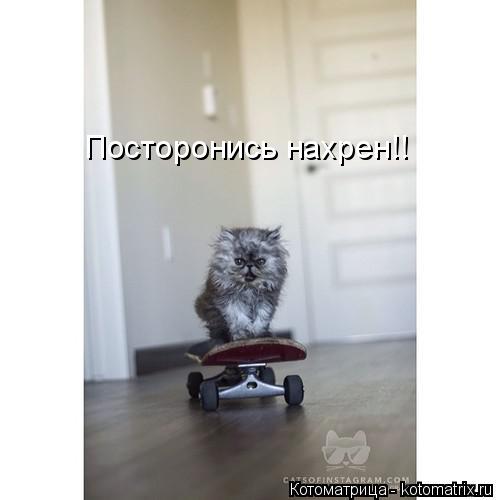 Посторонись нахрен!!... Котоматрица: Посторонись нахрен!!