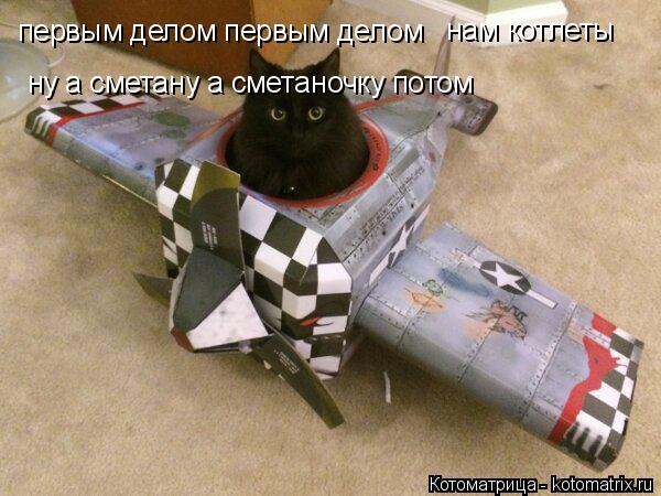 первым делом первым делом нам котлеты ну а сметану а сметаночку потом... Котоматрица: первым делом первым делом нам котлеты ну а сметану а сметаночку потом