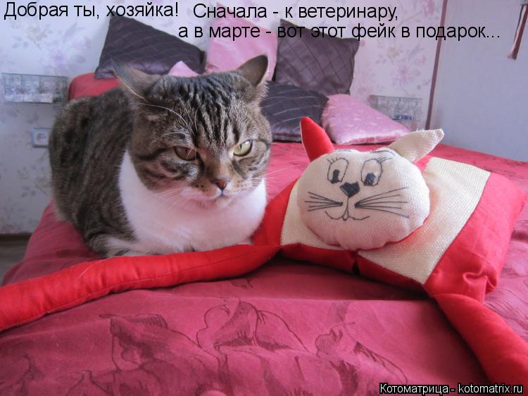 Добрая ты, хозяйка! Сначала - к ветеринару, а в марте - вот этот фейк в подарок...... Котоматрица: Добрая ты, хозяйка! Сначала - к ветеринару, а в марте - вот этот фейк в подарок...