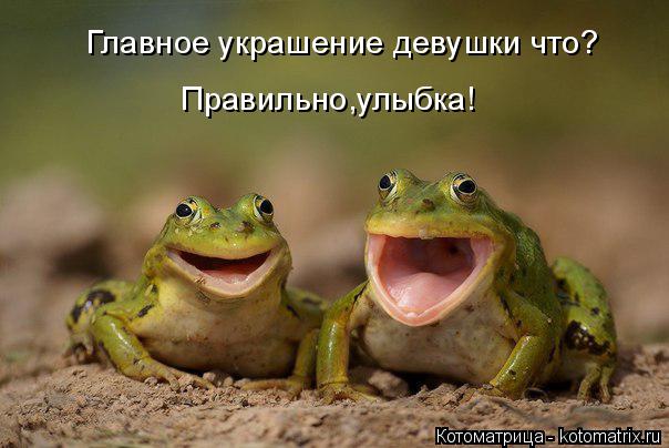 Главное украшение девушки что? Правильно,улыбка!... Котоматрица: Главное украшение девушки что? Правильно,улыбка!