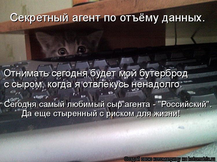 Секретный агент по отъёму данных. Отнимать сегодня будет мой бутерброд с сыром, когда я отвлекусь не... Котоматрица: Секретный агент по отъёму данных. Отнимать сегодня будет мой бутерброд с сыром, когда я отвлекусь ненадолго. Сегодня самый любимый сыр аге