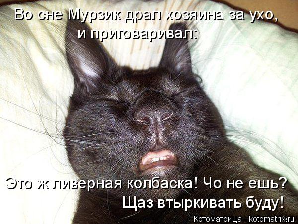 Во сне Мурзик драл хозяина за ухо, и приговаривал: Это ж ливерная колбаска! Чо не ешь? Щаз втыркива... Котоматрица: Во сне Мурзик драл хозяина за ухо, и приговаривал: Это ж ливерная колбаска! Чо не ешь? Щаз втыркивать буду!