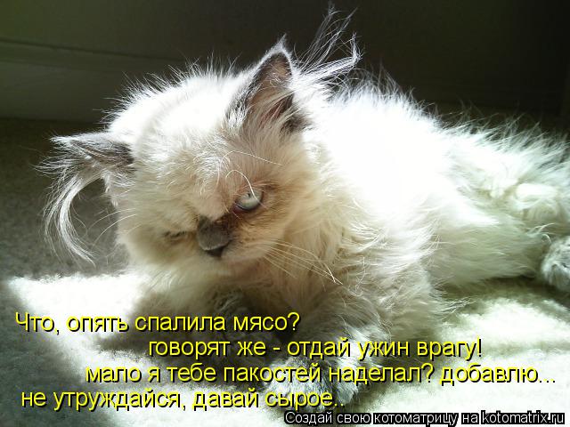 Что, опять спалила мясо? говорят же - отдай ужин врагу! мало я тебе пакостей наделал? добавлю... не ... Котоматрица: Что, опять спалила мясо? говорят же - отдай ужин врагу! мало я тебе пакостей наделал? добавлю... не утруждайся, давай сырое..