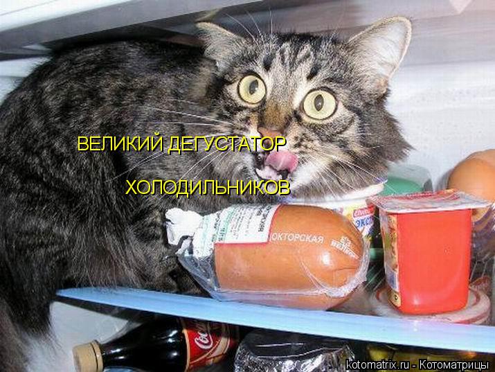 ВЕЛИКИЙ ДЕГУСТАТОР ХОЛОДИЛЬНИКОВ... Котоматрица: ВЕЛИКИЙ ДЕГУСТАТОР ХОЛОДИЛЬНИКОВ